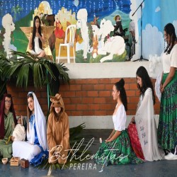 Imagen en miniatura de la galería