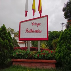 Imagen en miniatura de la galería