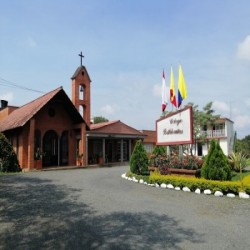 Imagen en miniatura de la galería