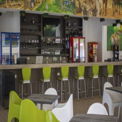 Imagen en miniatura de la galería