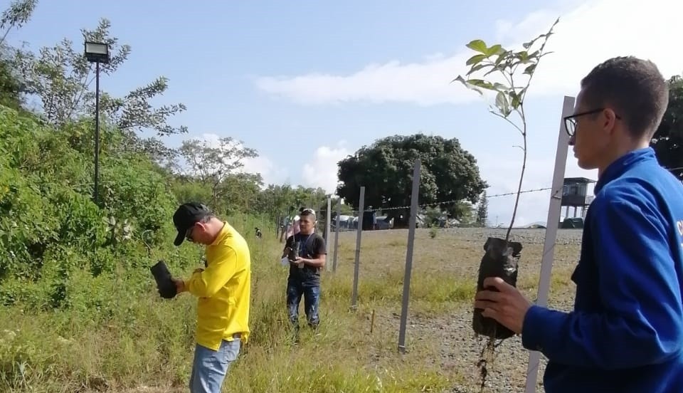 Siembra de árboles 2022