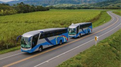 Imagen en miniatura de la galería