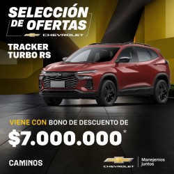 Imagen en miniatura de la galería