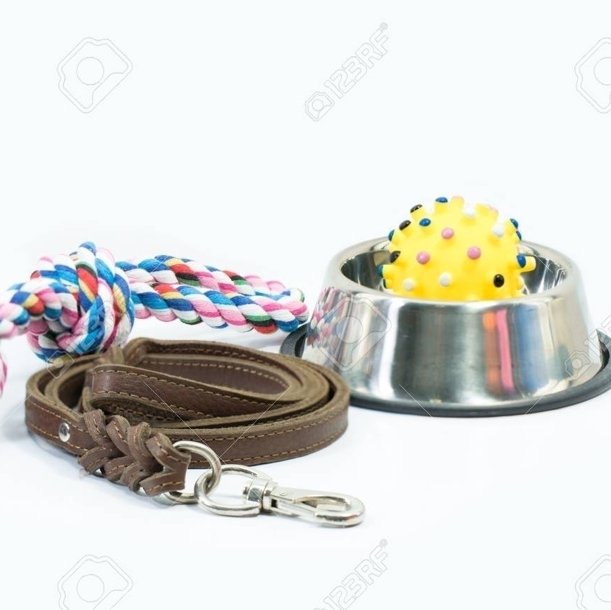 artículos para mascotas