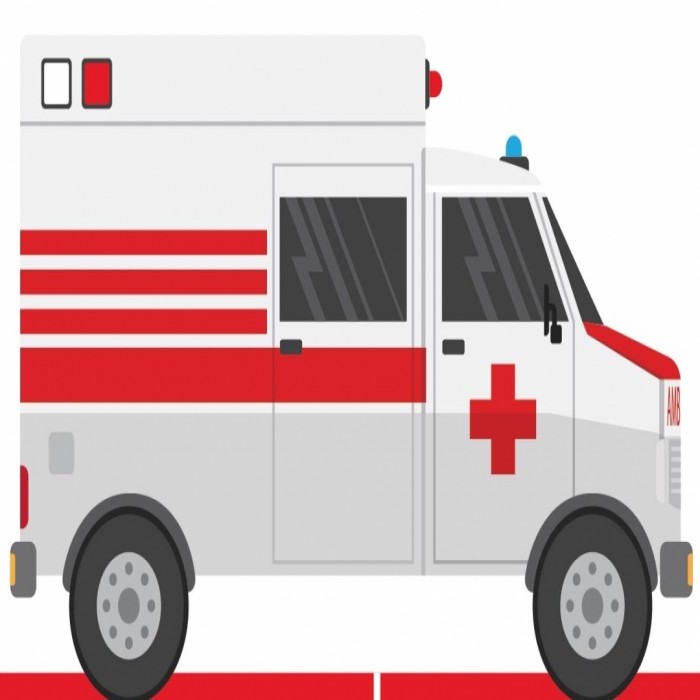Capacitación para los Conductores de Ambulancias de las Entidades Asociadas