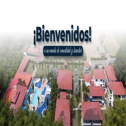 Imagen en miniatura de la galería