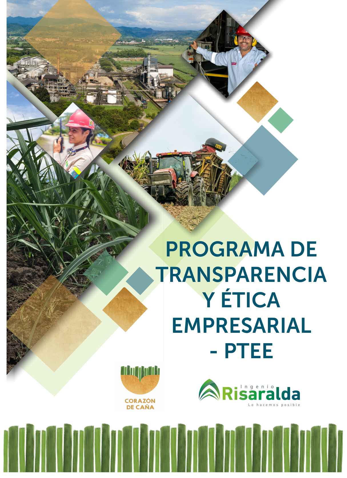 LIBRO PROGRAMA DE TRANSPARENCIA Y ÉTICA EMPRESARIAL Y POLITICAS