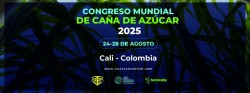 Imagen en miniatura de la galería