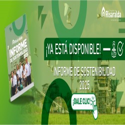 Imagen en miniatura de la galería