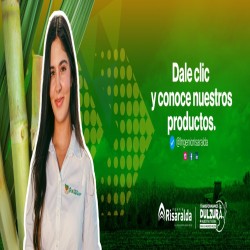 Imagen en miniatura de la galería