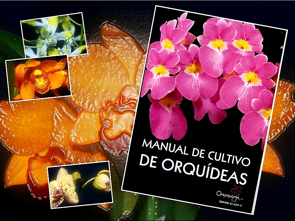 Sociedad Colombiana de Orquideología