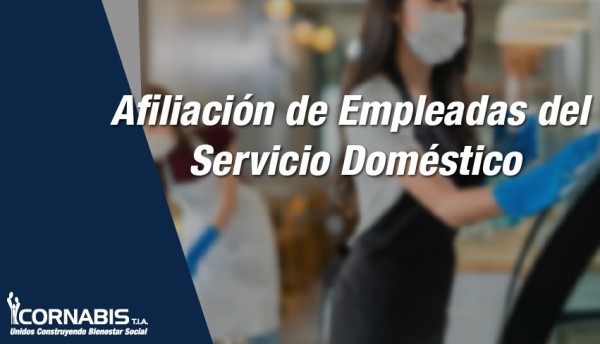 Seguridad social en empleadas domésticas
