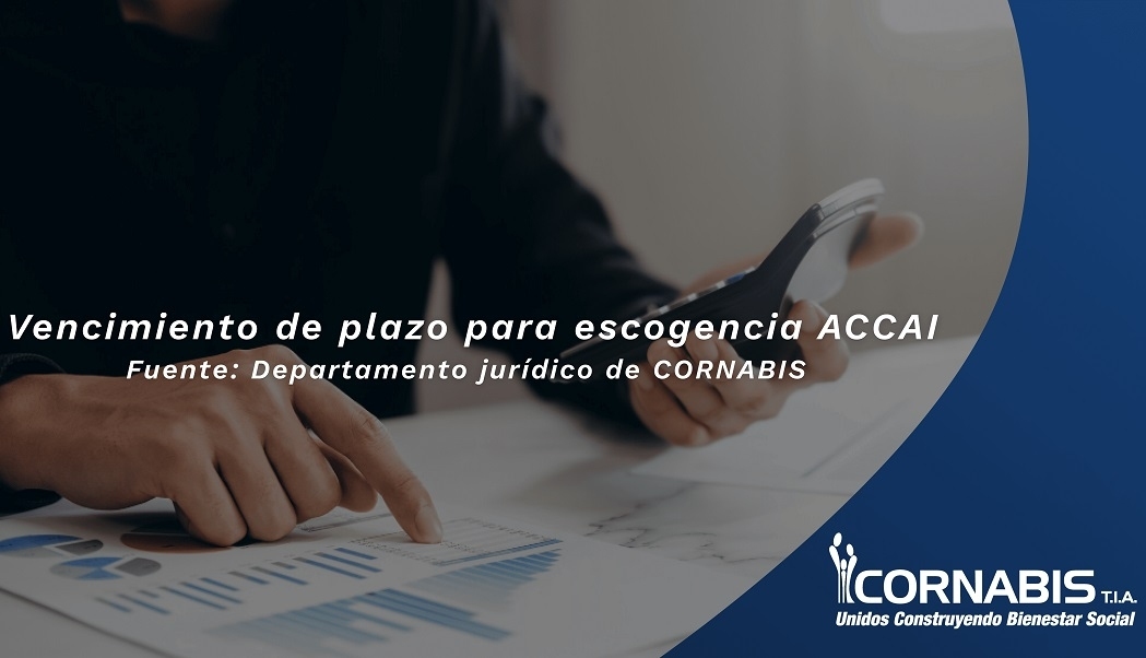 LEY 2381 de 2024 - ACCAI