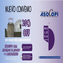 Imagen en miniatura de la galería