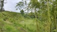 Venta de Finca en Filandia