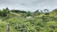 Venta de Finca en Filandia