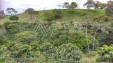 Venta de Finca en Filandia