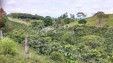 Venta de Finca en Filandia