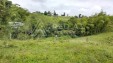 Venta de Finca en Filandia