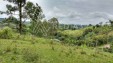 Venta de Finca en Filandia