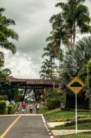 Maracay Ciudad Campestre, un lugar donde la vida es otro cuento!