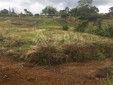 Lote para la Venta en la Vereda Triconsota