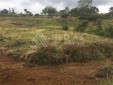 Lote para la Venta en la Vereda Triconsota