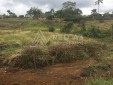 Lote para la Venta en la Vereda Triconsota