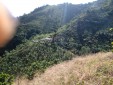 Se Vende Finca en Producción