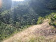 Se Vende Finca en Producción