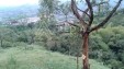 Se Vende Lote en Dosquebradas
