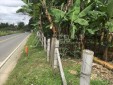 Venta de Lote