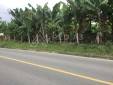 Venta de Lote