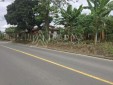 Venta de Lote