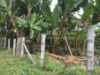 Venta de Lote