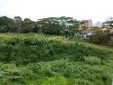 Se Vende Lote en Pinares