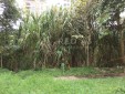 Lote Para la Venta en Pereira. Ubicado en el Exclusivo Barrio de Pinares