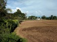 Extenso Lote Para la Venta en Pereira, Ideal Para un Gran Desarrollo Informes