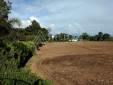 Extenso Lote Para la Venta en Pereira, Ideal Para un Gran Desarrollo Informes