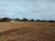 Extenso Lote Para la Venta en Pereira, Ideal Para un Gran Desarrollo Informes