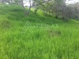 Finca Ganadera En Venta En El Sector De Pandi Arbelaez