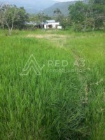 Finca Ganadera En Venta En El Sector De Pandi Arbelaez