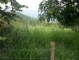 Finca Ganadera En Venta En El Sector De Pandi Arbelaez