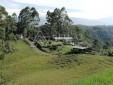 Finca Productiva para la Venta