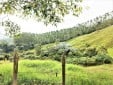 Finca productiva para la Venta en Santa Rosa de Cabal
