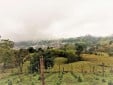 Finca productiva para la Venta en Santa Rosa de Cabal