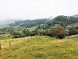 Finca productiva para la Venta en Santa Rosa de Cabal