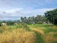 Lote a 300 metros de la vía Cerritos - Cartago con excelente visual