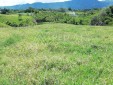 Finca productiva para la Venta Quimbaya