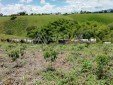 Finca productiva para la Venta Quimbaya